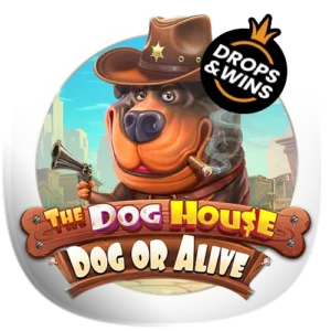 The Dog House – Dog or Alive