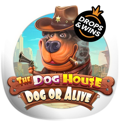 The Dog House – Dog or Alive