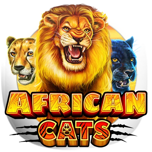 African Cats