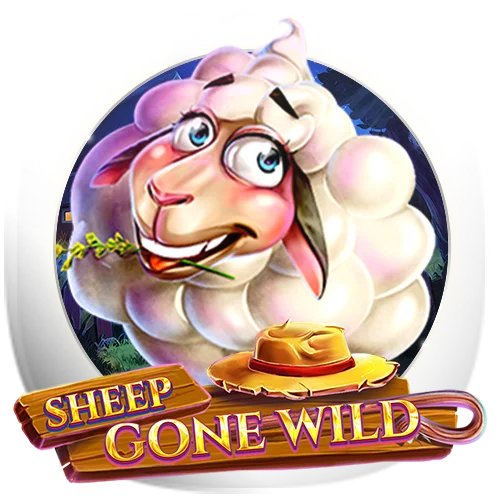 Sheep Gone Wild